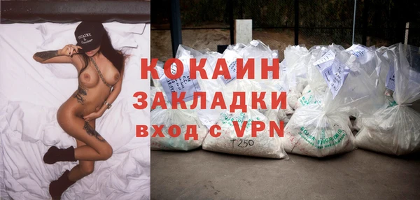 прущие грибы Абаза
